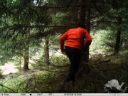 IB2016_II_206