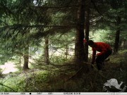 IB2016_II_207