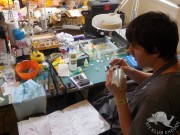 IB2016_II_305