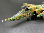 Su-25K Žabák